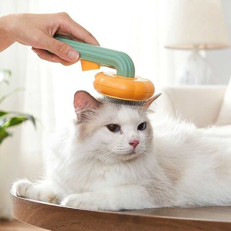 Pet Pumpkin Brush | Self-Cleaning Slicker Tool