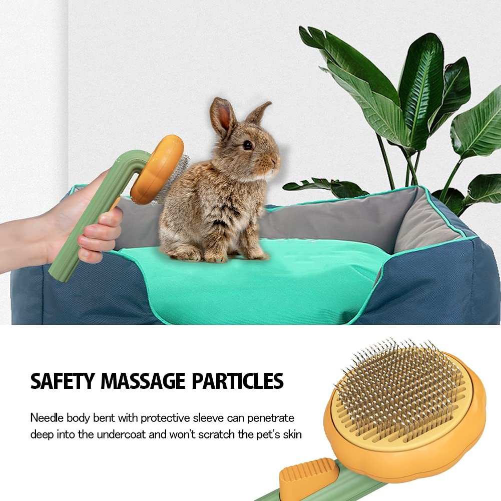 Pet Pumpkin Brush | Self-Cleaning Slicker Tool
