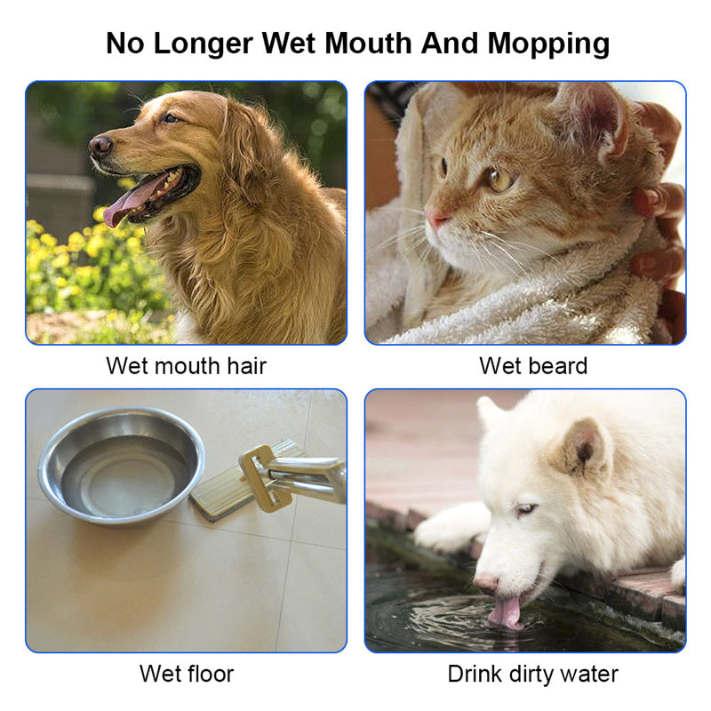 Anti Spill Pet Water