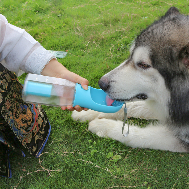 3 in 1 Pet Water Bottle